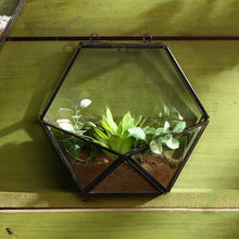 Load image into Gallery viewer, Hexagon wall terrarium