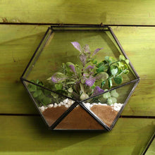 Load image into Gallery viewer, Hexagon wall terrarium