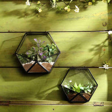 Load image into Gallery viewer, Hexagon wall terrarium