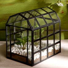 Load image into Gallery viewer, Glass house terrarium
