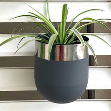 Load image into Gallery viewer, Mouli wall planter
