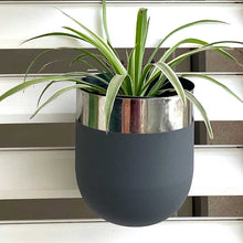 Load image into Gallery viewer, Mouli wall planter