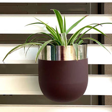 Load image into Gallery viewer, Mouli wall planter