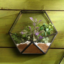 Load image into Gallery viewer, Hexagon wall terrarium
